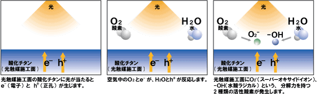 光触媒とは